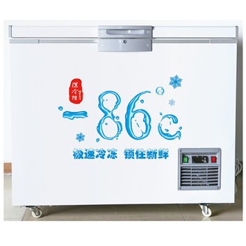 Kontejner za suhi led